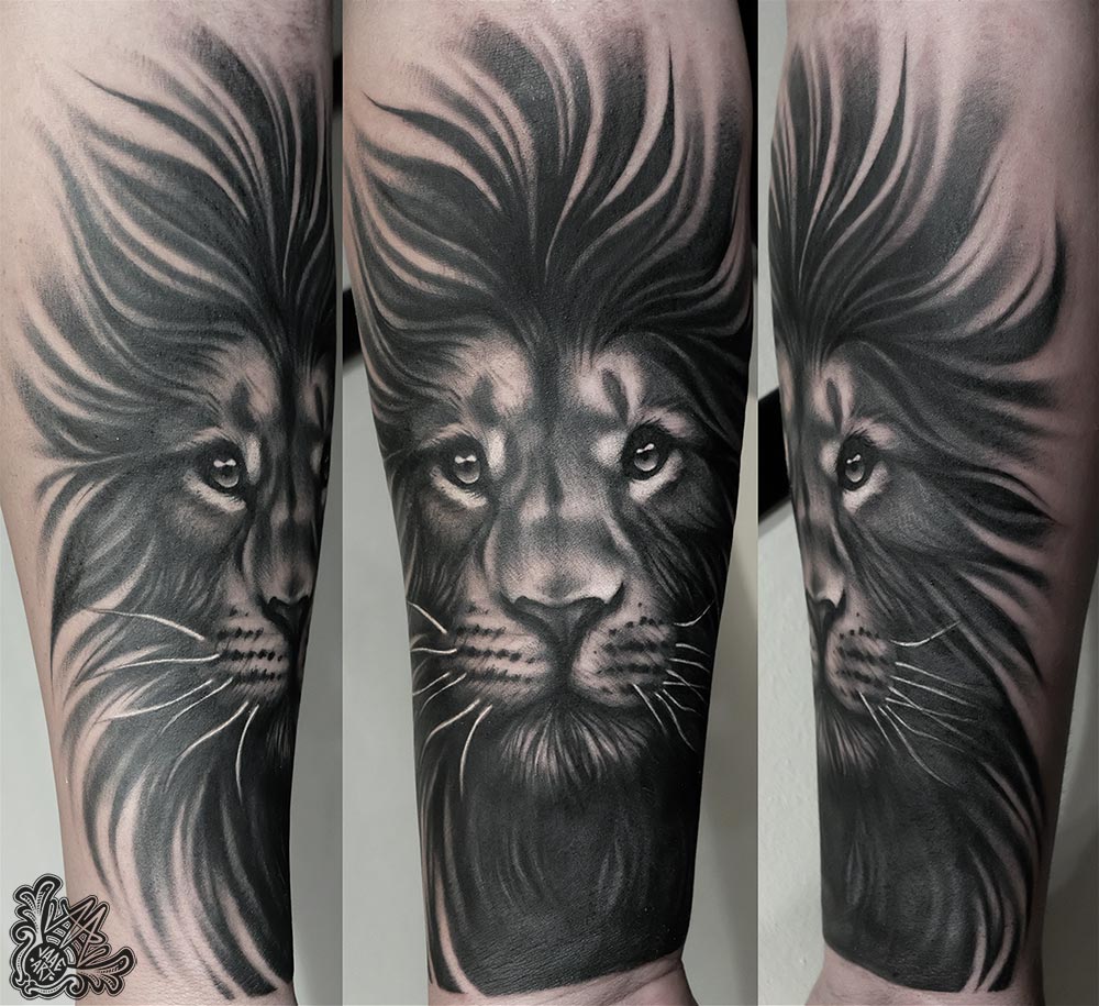 leon-lion