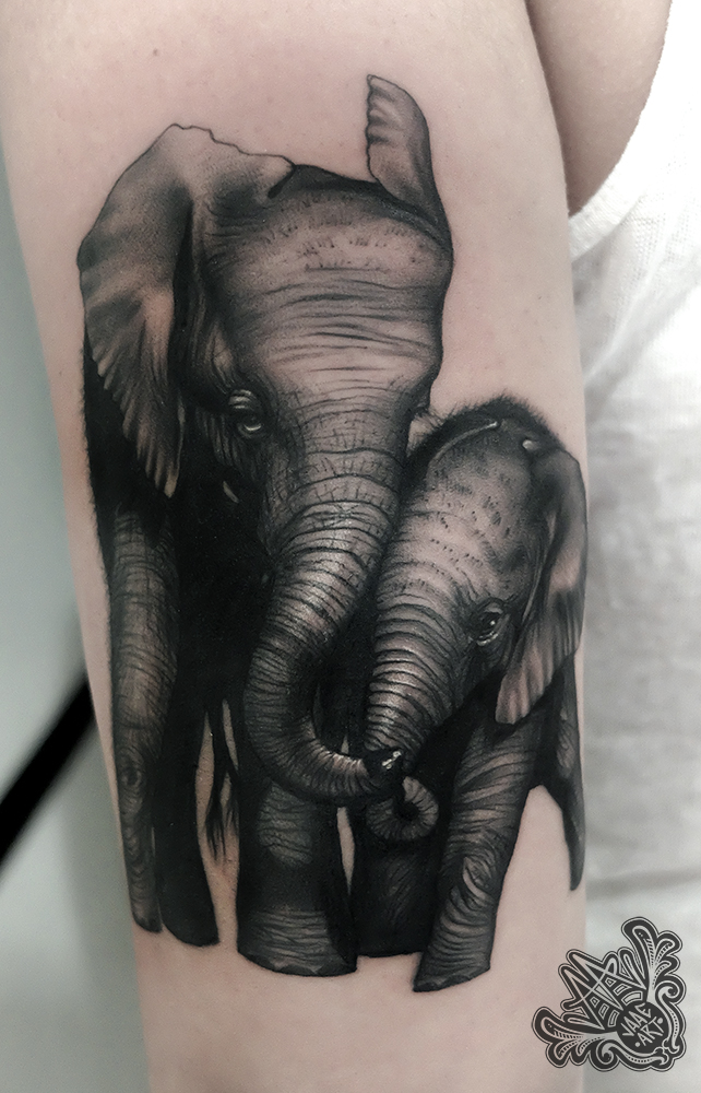 elephant-elefantes