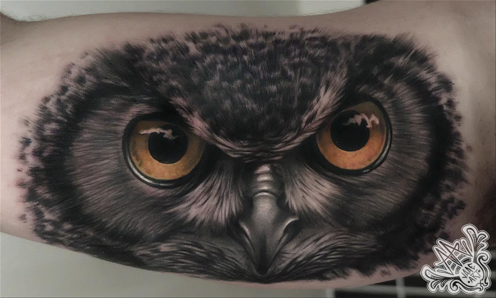 buho-owl-mirada-eyes