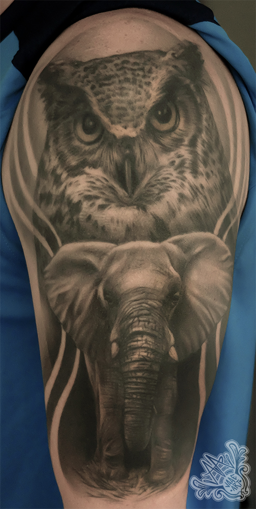 buho-owl-elephant-elefante-elephanttattoo-owltattoo-healed-tattoocurado