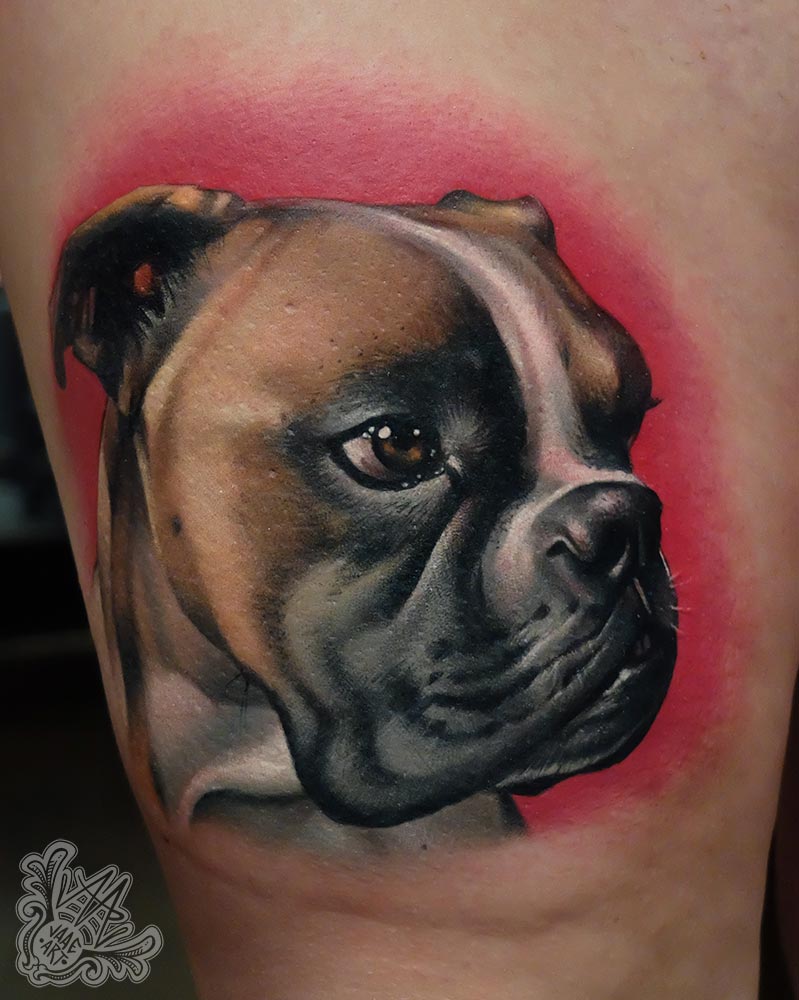 boxer-perro-portrait-colorportrait