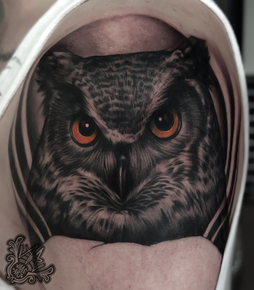 buho-owl